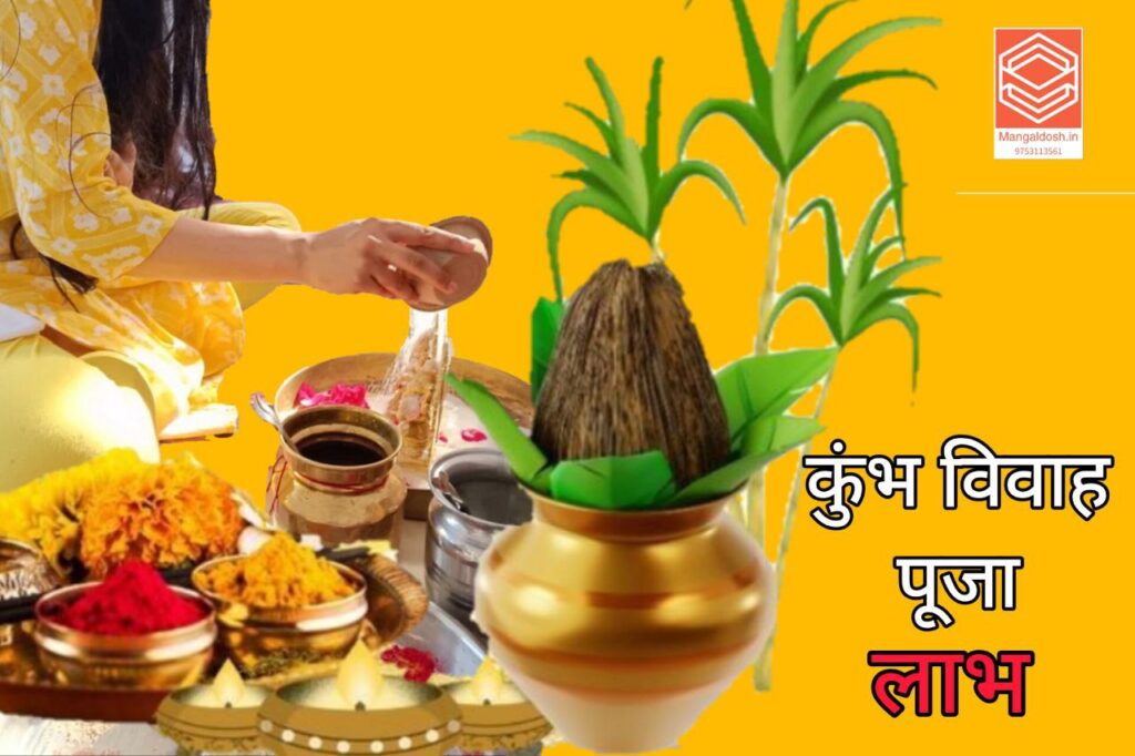 Kumbh vivah puja