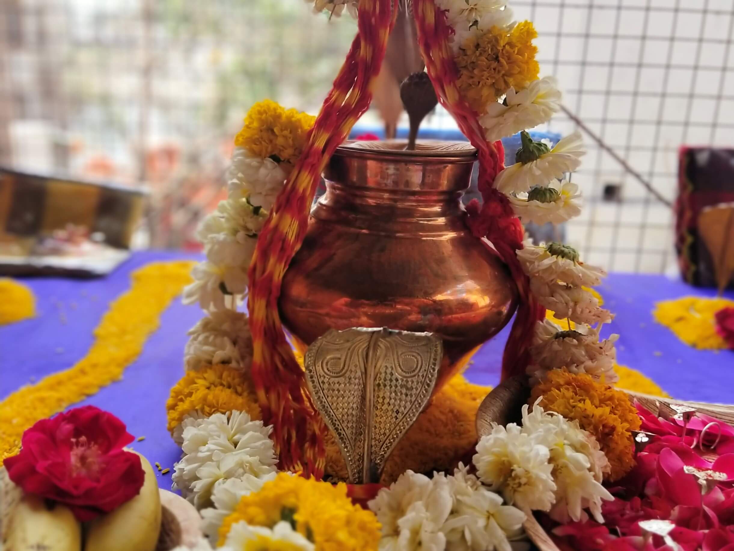 Kaalsarp Dosh Puja